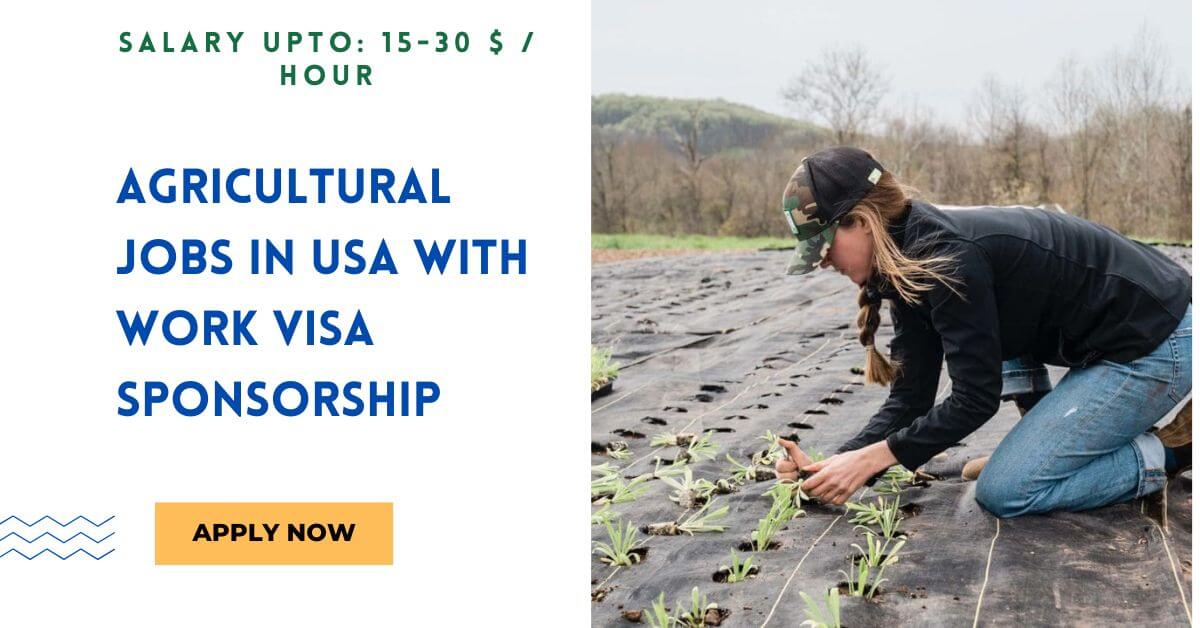 Agricultural Jobs in USA With Work VISA Sponsorship
