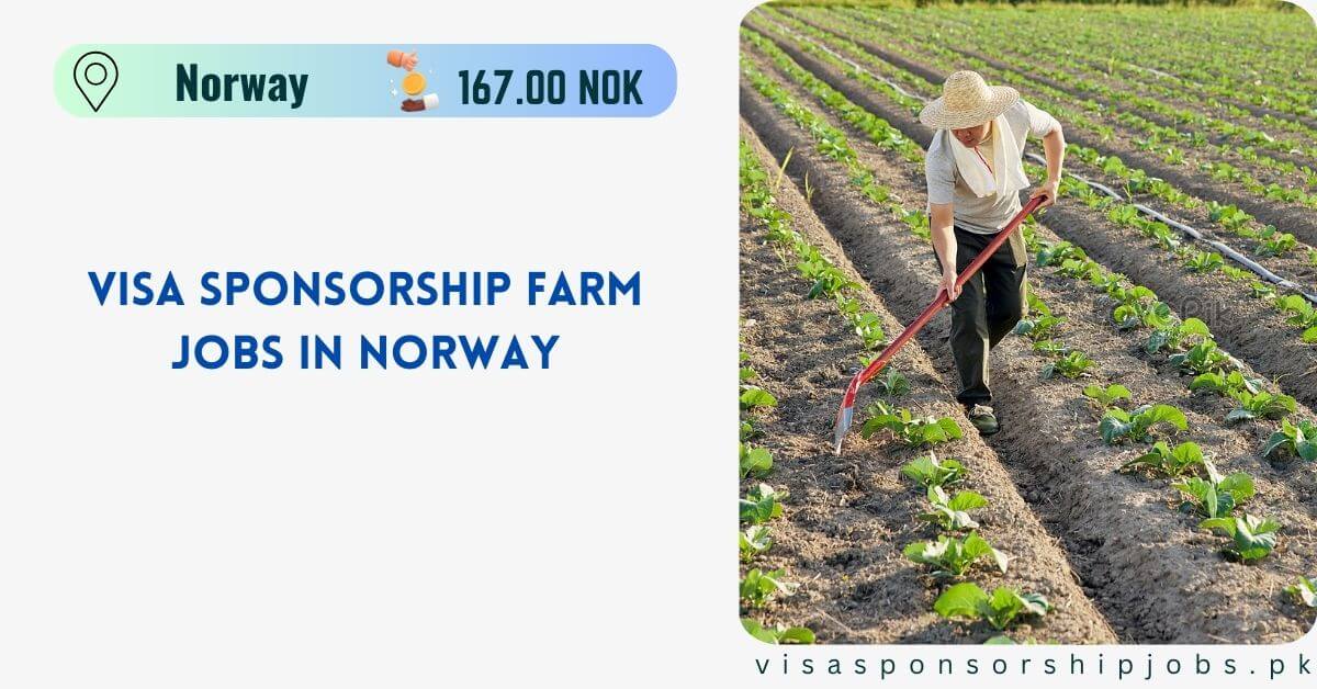 Farm Jobs In Norway