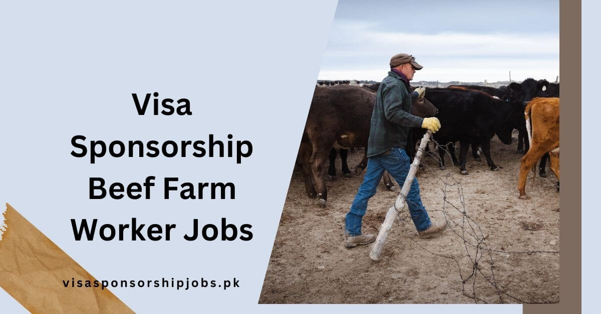 Visa Sponsorship Beef Farm Worker Jobs