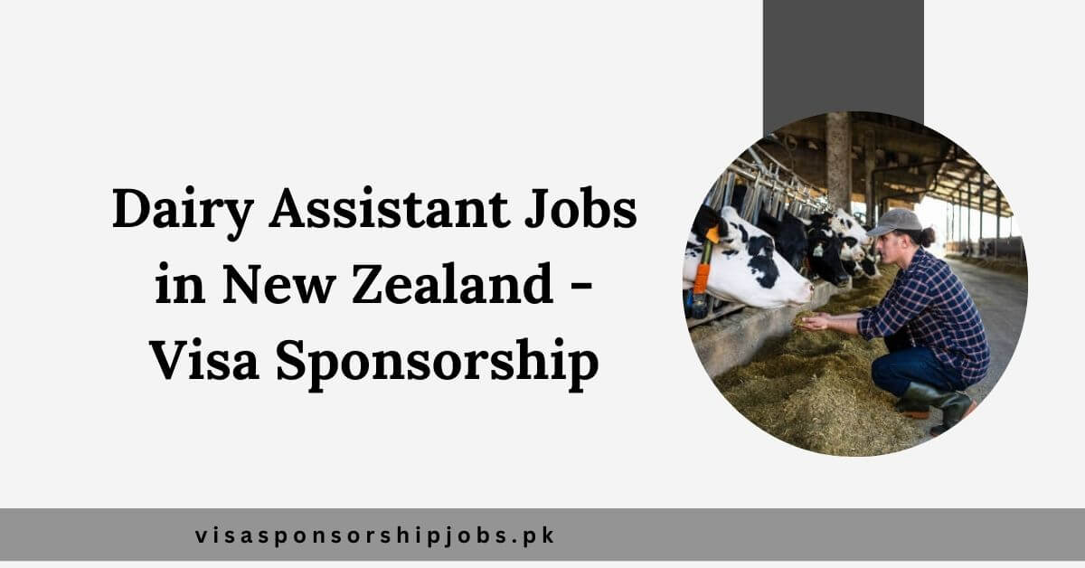 Dairy Assistant Jobs in New Zealand - Visa Sponsorship