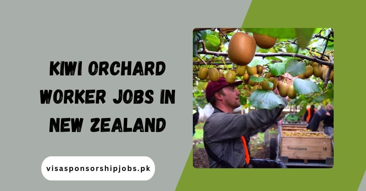Kiwi Orchard Worker Jobs in New Zealand