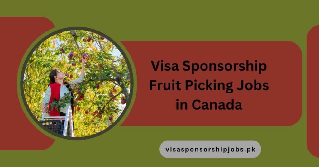 Visa Sponsorship Fruit Picking Jobs in Canada