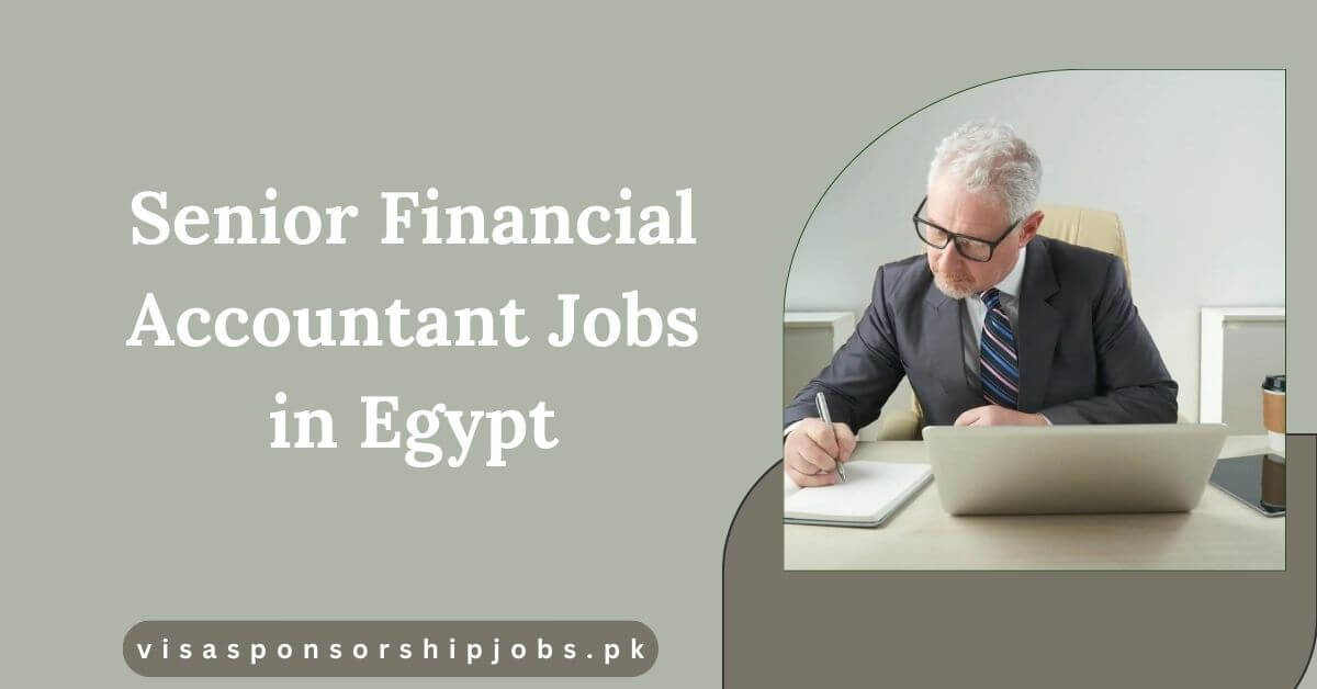 Senior Financial Accountant Jobs in Egypt