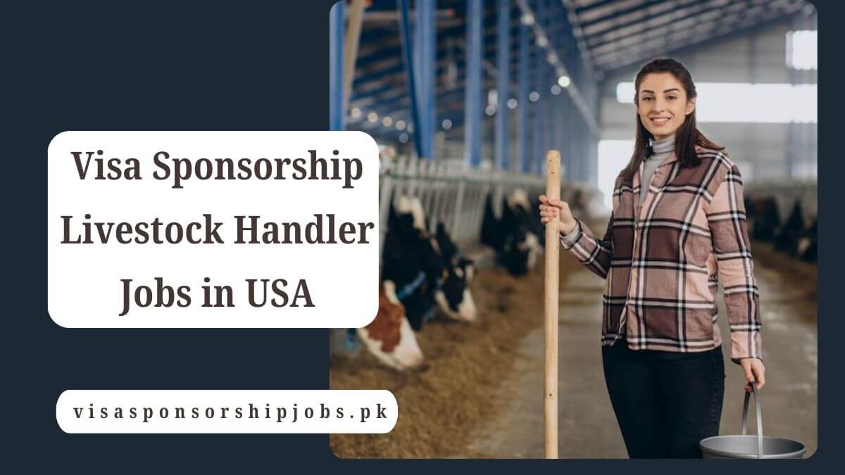Visa Sponsorship Livestock Handler Jobs in USA