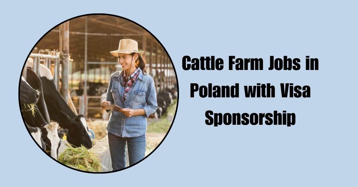 Cattle Farm Jobs in Poland with Visa Sponsorship