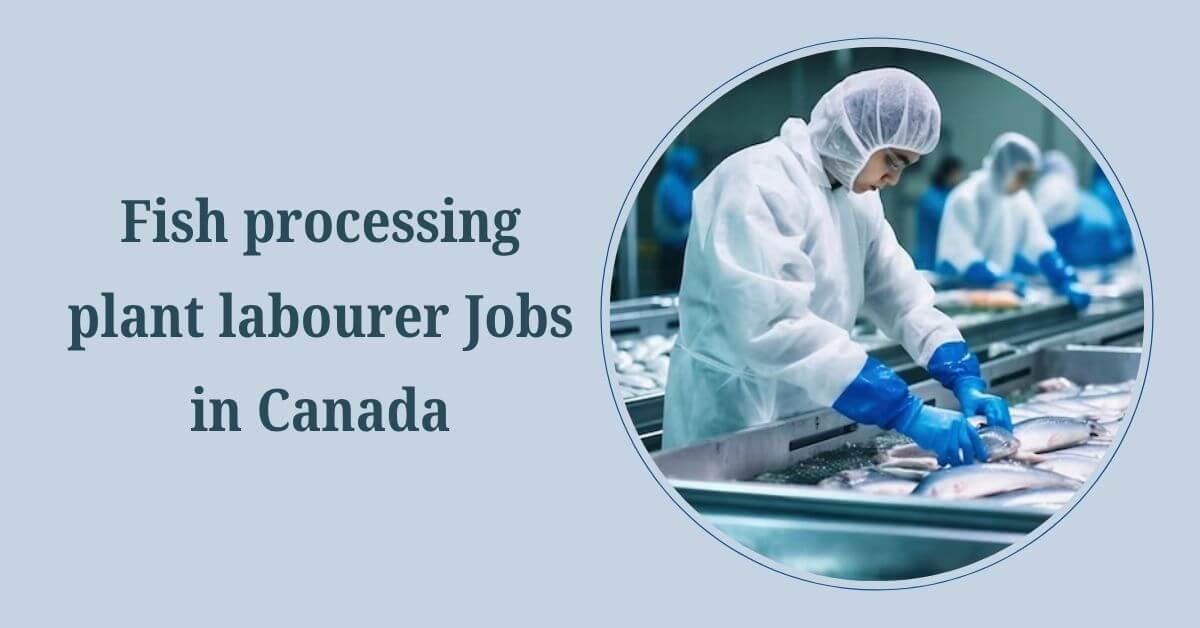 Fish processing plant labourer Jobs in Canada
