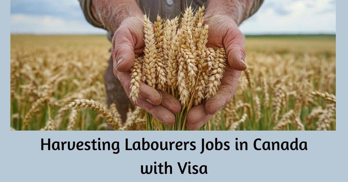 Harvesting Labourers Jobs in Canada with Visa