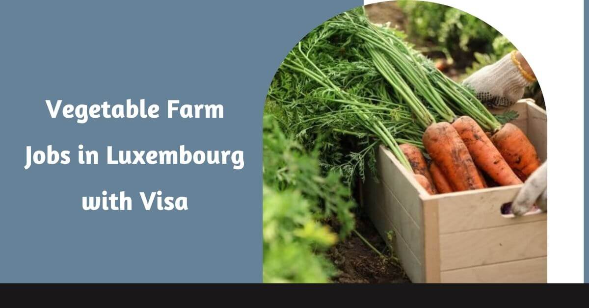 Vegetable Farm Jobs in Luxembourg with Visa