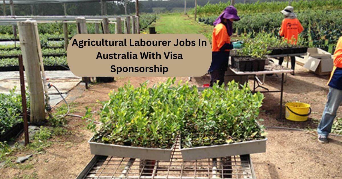 Agricultural Labourer Jobs In Australia With Visa Sponsorship